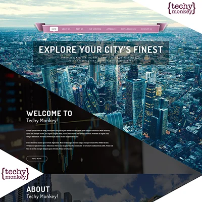 Techy Monkey Website Design 