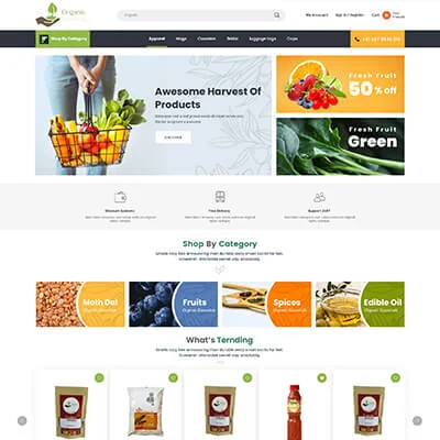 Organic Essencial Website Design