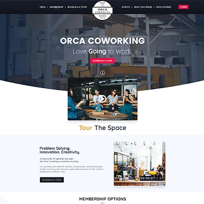 Orca Website Design