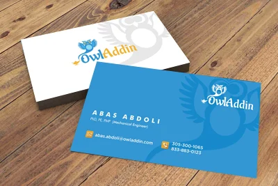 Owladdin Business Card Design