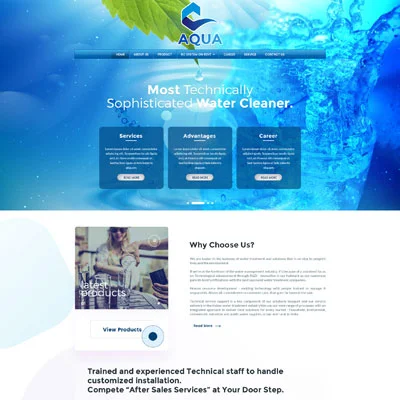 AQUA Custom and Outsource Web Design